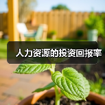 人力资源的投资回报率（图1）
