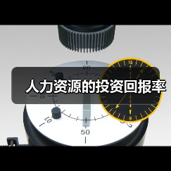 人力资源的投资回报率（图4）