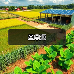 圣鼎源（图3）