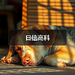 日信高科（图4）