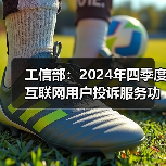 工信部：2024年四季度互联网用户投诉服务功能类占比过半（图2）