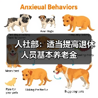 人社部：适当提高退休人员基本养老金（图1）