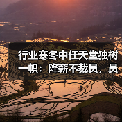 行业寒冬中任天堂独树一帜：降薪不裁员，员工平均年薪仍傲视群雄（图4）