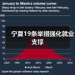 宁夏19条举措强化就业支撑（图2）
