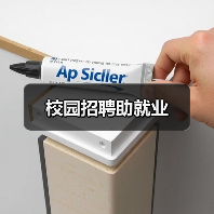 校园招聘助就业（图4）