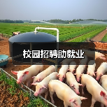 校园招聘助就业（图2）