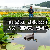 湖北黄冈:让外出务工人员“回得来、留得住”(图3) 湖北黄冈:让外出务工人员“回得来、留得住”(图3)