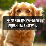 重庆5年来促进城镇新增就业超348万人(图2) 重庆5年来促进城镇新增就业超348万人(图2)