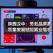 陕西汉中:劳务品牌高质量发展赋能就业增收(图3) 陕西汉中:劳务品牌高质量发展赋能就业增收(图3)