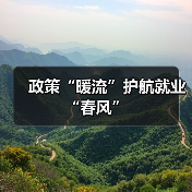 政策“暖流”护航就业“春风”（图3）