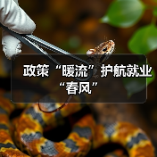 政策“暖流”护航就业“春风”（图2）