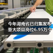 今年湖南省已归集发布重大项目岗位6.95万个（图3）