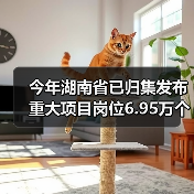 今年湖南省已归集发布重大项目岗位6.95万个（图2）