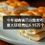 今年湖南省已归集发布重大项目岗位6.95万个（图1）