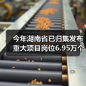 今年湖南省已归集发布重大项目岗位6.95万个（图4）
