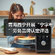 青海西宁开展“宁字号”劳务品牌认定评选（图2）