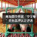 青海西宁开展“宁字号”劳务品牌认定评选（图3）