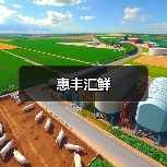 惠丰汇鲜（图4）