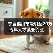 宁夏银川市吸引超20万青年人才就业创业(图3) 宁夏银川市吸引超20万青年人才就业创业(图3)