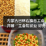 内蒙古巴林右旗总工会开展“工会帮就业 好岗等你来”专场直播活动（图2）