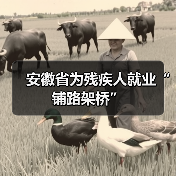 安徽省为残疾人就业“铺路架桥”（图2）