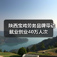 陕西宝鸡劳务品牌带动就业创业40万人次（图3）