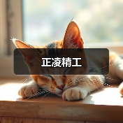 正凌精工（图1）