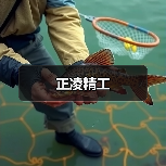 正凌精工（图2）