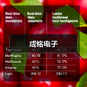 成铭电子（图3）