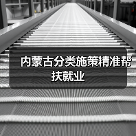 内蒙古分类施策精准帮扶就业（图2）