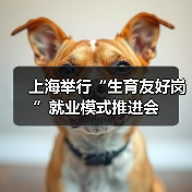 上海举行“生育友好岗”就业模式推进会（图4）