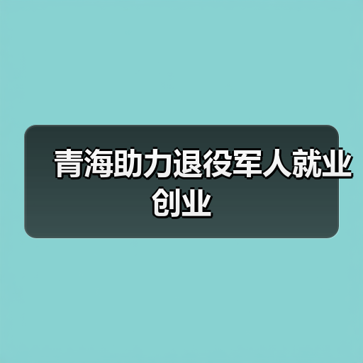 青海助力退役军人就业创业（图4）
