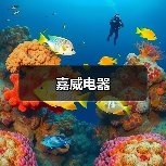 嘉威电器（图4）