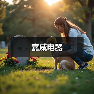 嘉威电器（图2）
