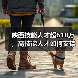 陕西技能人才超610万，高技能人才如何支撑高质量发展？（图3）