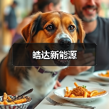 皓达新能源（图3）