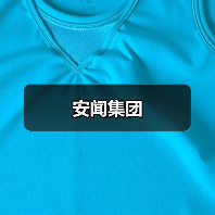 安闻集团（图4）