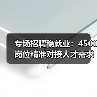 专场招聘稳就业：4500岗位精准对接人才需求（图4）