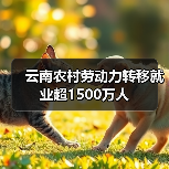 云南农村劳动力转移就业超1500万人(图1) 云南农村劳动力转移就业超1500万人(图1)