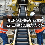 海口精准对接毕业生就业 云聘服务助力人才集聚(图2) 海口精准对接毕业生就业 云聘服务助力人才集聚(图2)