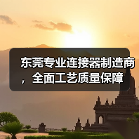 东莞专业连接器制造商，全面工艺质量保障（图3）