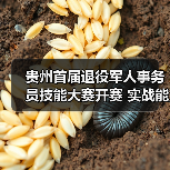 贵州首届退役军人事务员技能大赛开赛 实战能力大比拼（图4）