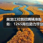 黑龙江校园招聘精准服务:1265岗位助力毕业生就业(图4) 黑龙江校园招聘精准服务:1265岗位助力毕业生就业(图4)