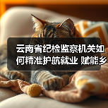 云南省纪检监察机关如何精准护航就业 赋能乡村振兴（图4）