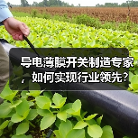 导电薄膜开关制造专家，如何实现行业领先？（图4）