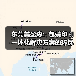 东莞美盈森：包装印刷一体化解决方案的环保科技领军者（图1）