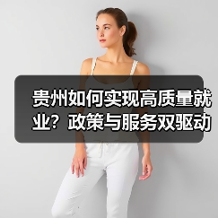 贵州如何实现高质量就业？政策与服务双驱动（图2）