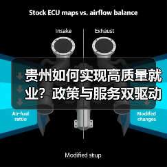 贵州如何实现高质量就业？政策与服务双驱动（图1）