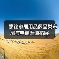 泰铨家居用品多品类布局与电商渠道拓展（图4）