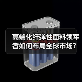 高端化纤弹性面料领军者如何布局全球市场？（图1）